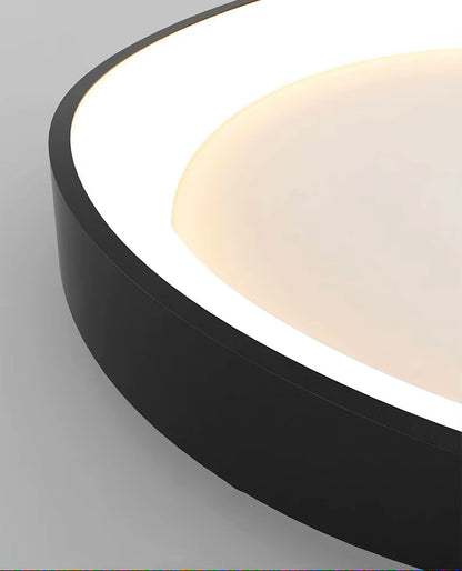 Modern Chandelier Ceiling lamps lighting