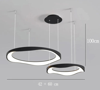 Modern Chandelier Ceiling lamps lighting