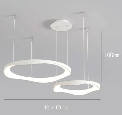 Modern Chandelier Ceiling lamps lighting