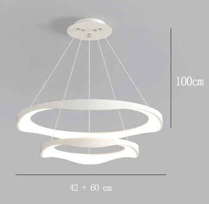 Modern Chandelier Ceiling lamps lighting