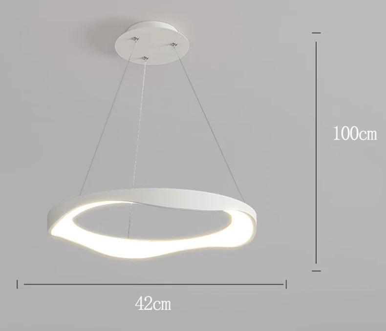Modern Chandelier Ceiling lamps lighting