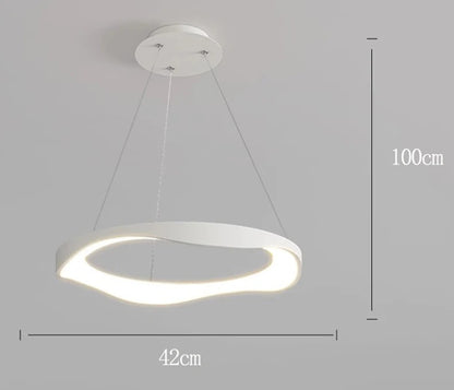 Modern Chandelier Ceiling lamps lighting