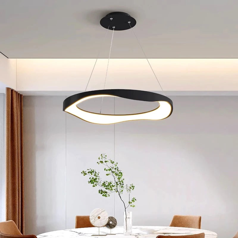 Modern Chandelier Ceiling lamps lighting