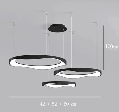 Modern Chandelier Ceiling lamps lighting